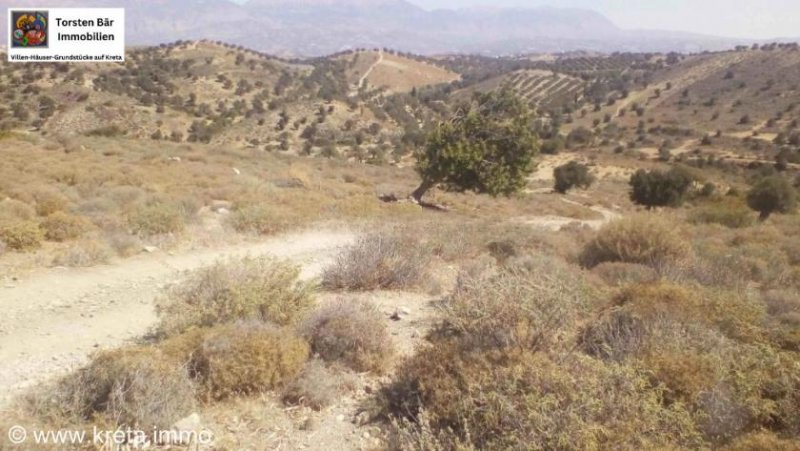 Sivas Kreta, Sivas, Grundstück 44.000m² zu verkaufen Grundstück kaufen